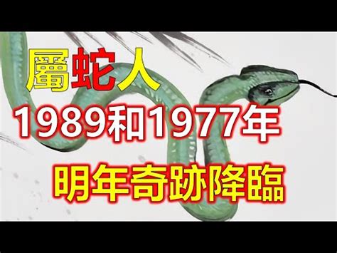 1989屬蛇幸運色|1989属蛇的幸运色